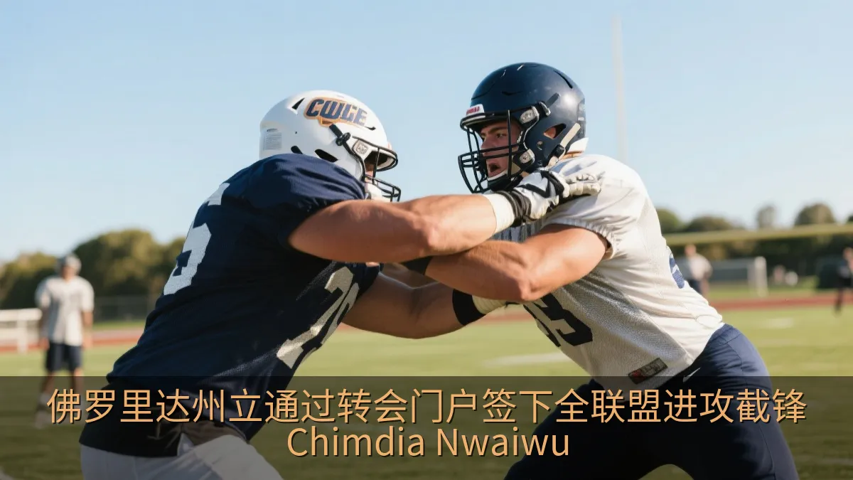 佛罗里达州立通过转会门户签下全联盟进攻截锋Chimdia Nwaiwu